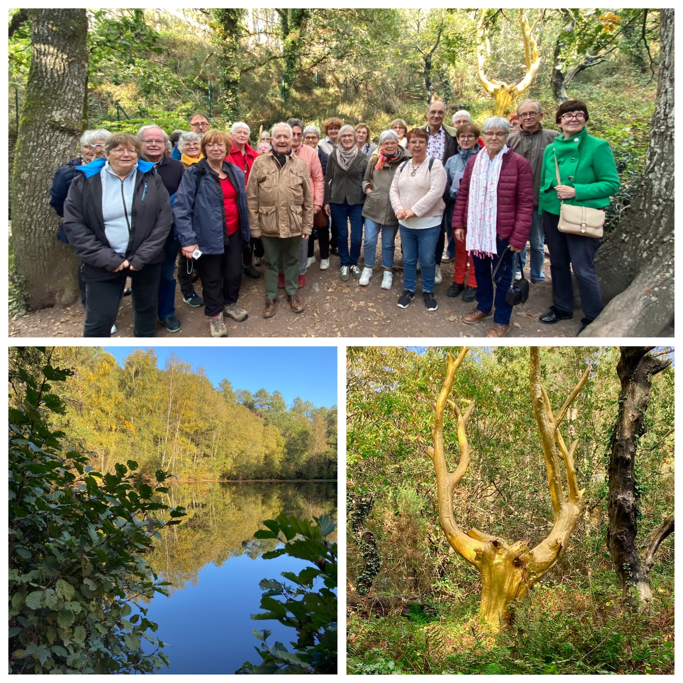 Sortie à Brocéliande